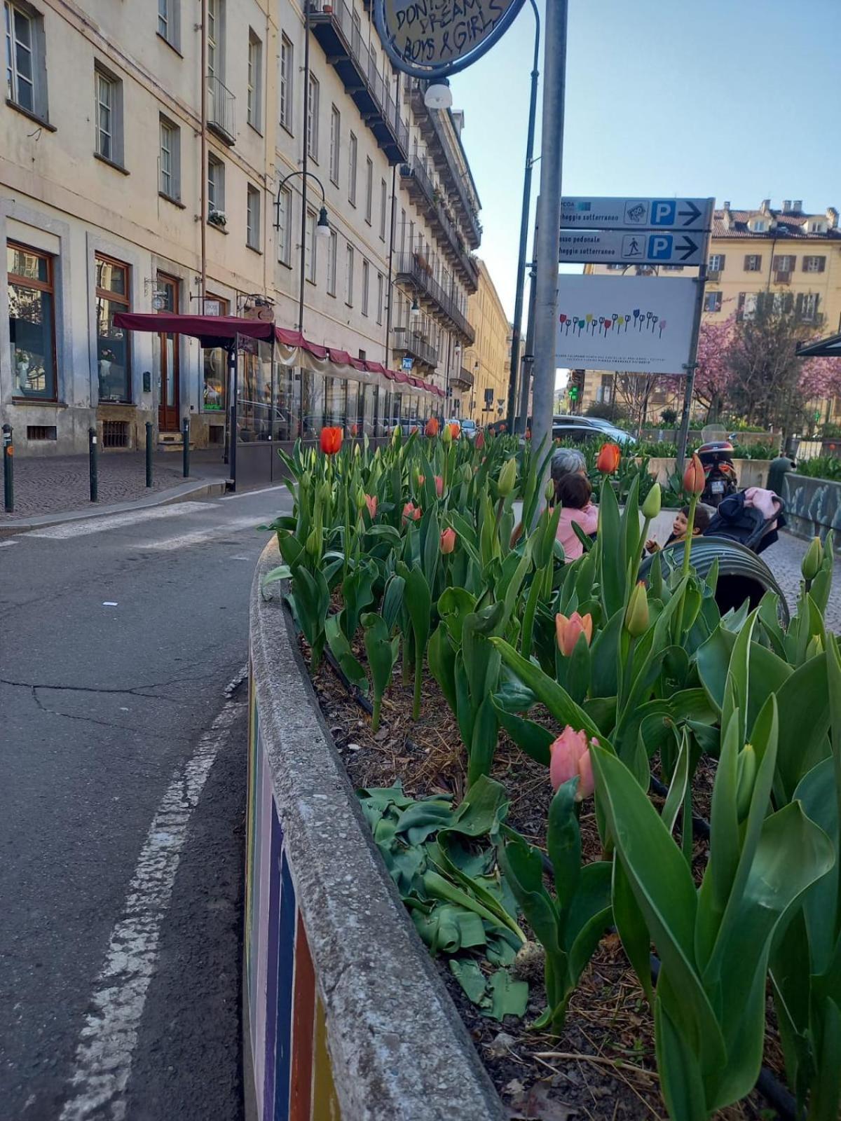 Centralissimo Nel Cuore Del Quadrilatero Di Torino Bagian luar foto